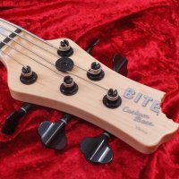 5-String Upcharge 9