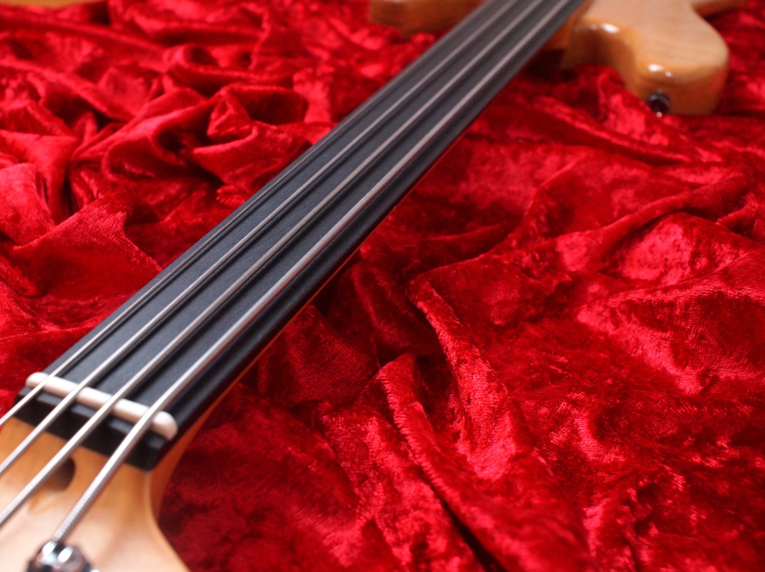 Fretless 1